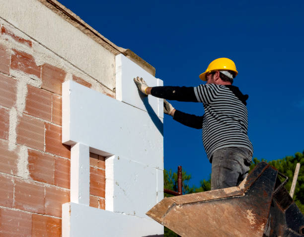 Best Insulation Replacement Services  in Owings Mills, MD