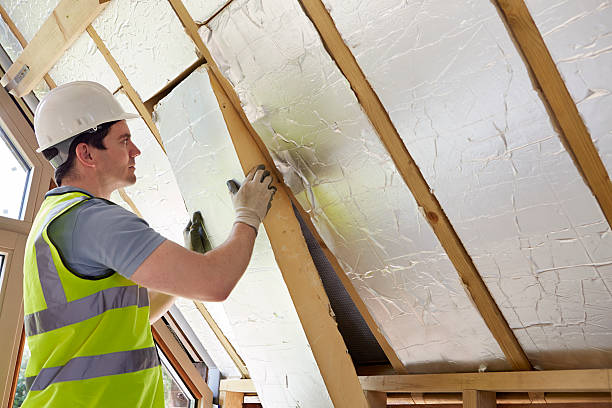Best Best Insulation Companies  in Owings Mills, MD